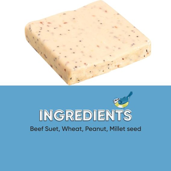 Happy Beaks - Seeded Suet Blocks